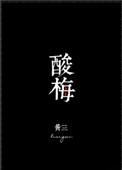 酸梅讲的什么