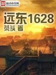 远东1628简介
