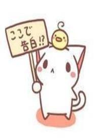 睿思芯科